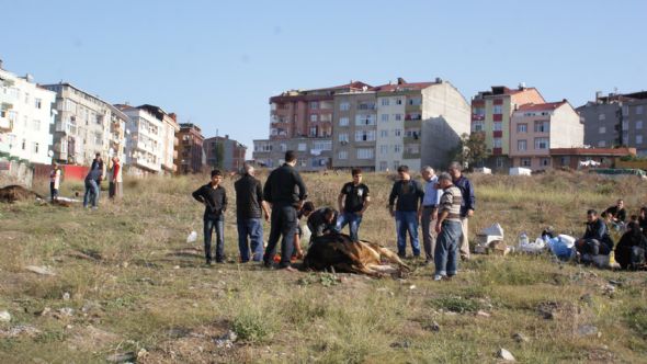 İstanbul'da kurban kesim manzaraları