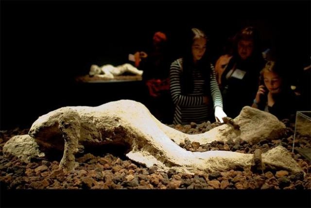 2 bin yıllık cesetler sergide