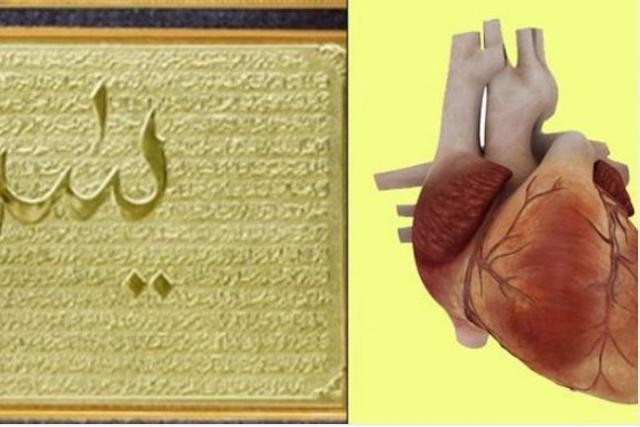 Kur'an-ı Kerim'deki kalp mucizesi!