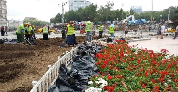 Gezi Parkı çiçek açtı