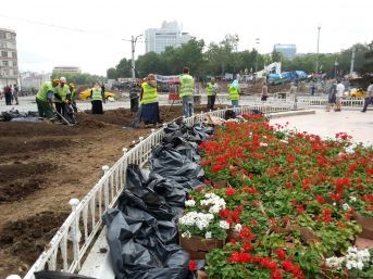 Gezi Parkı çiçek açtı