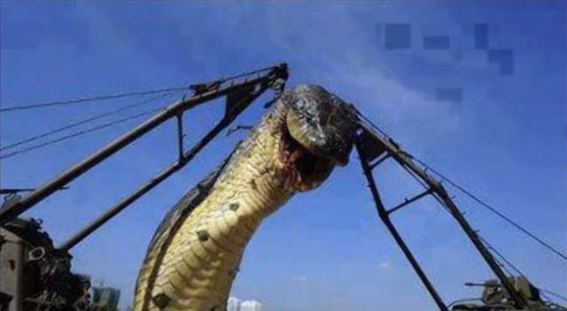 43 metrelik yılanın foyası meydana çıktı