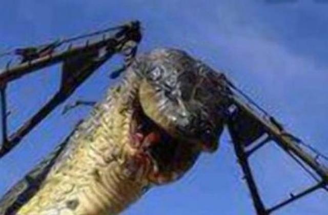 43 metrelik yılanın foyası meydana çıktı