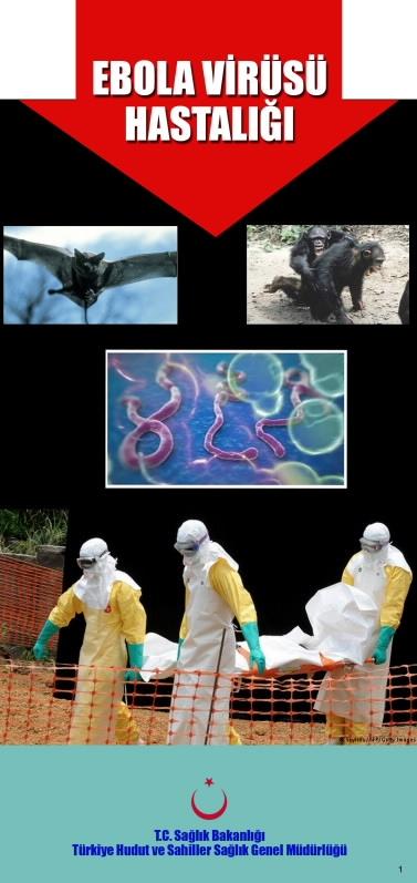 Sağlık Bakanlığı'ndan "Ebola" broşürü