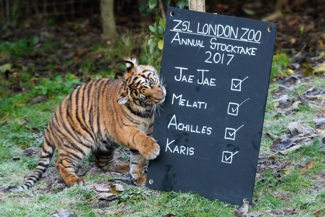 Londra Hayvanat Bahçesi