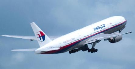 testMalezya uçağı düştü: 295 ölü