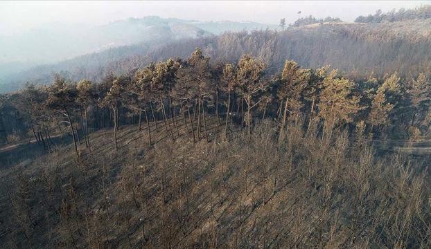 Adanadaki orman yangınına havadan müdahale devam ediyor