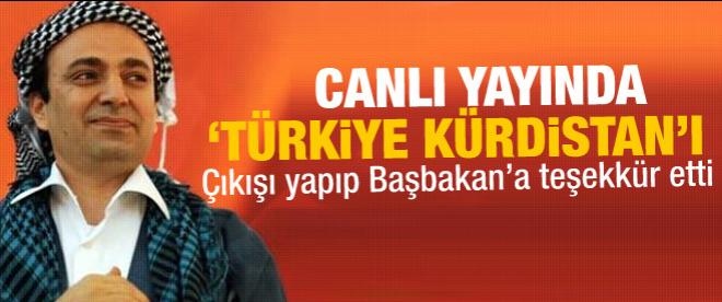 Baydemir'den 'Türkiye Kürdistanı' çıkışı