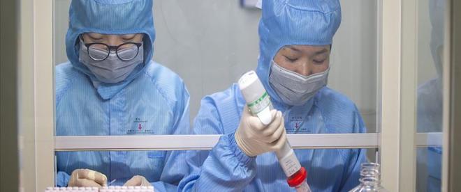 Çinli Sinopharm, 2021de 1 milyar doz Kovid-19 aşısı üretmeyi hedefliyor