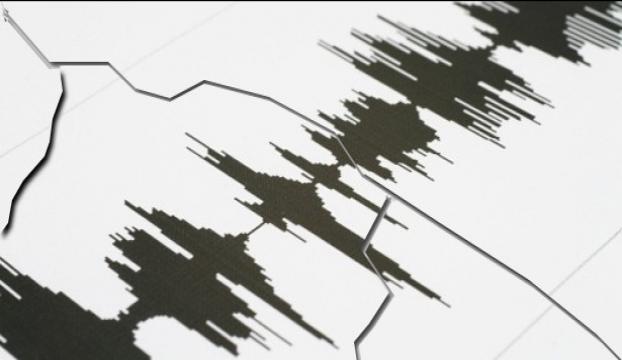 Japonyadaki depremde 21 kişi yaralandı