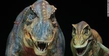 Suudi Arabistan'da ilk dinozor kemikleri keşfedildi