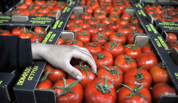 Yurt dışına en çok domates sattık