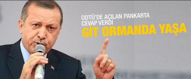 Erdoğan: Üniversite gençliği yol istemiyor...