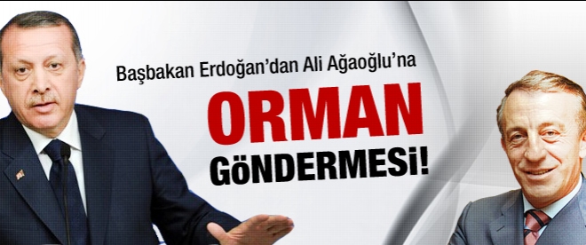 Erdoğan'dan Ali Ağaoğlu'na gönderme