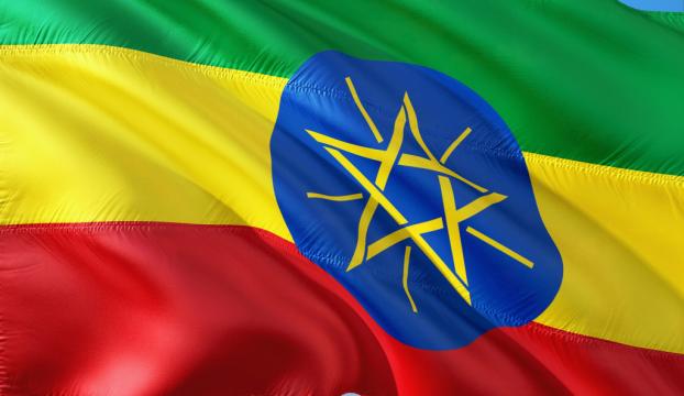 Etiyopyada heyelan: 23 ölü