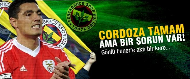 Fenerbahçe Cardozo için Benfica ile el sıkıştı