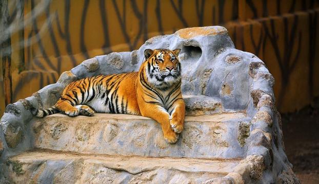 Gaziantep Hayvanat Bahçesini 3 haftada 25 bin kişi ziyaret etti