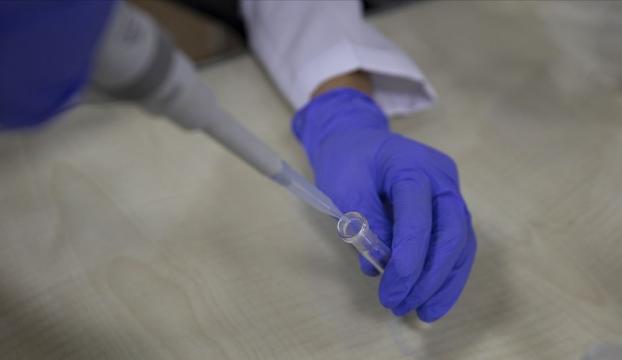 Çinli Sinopharm şirketi Kovid-19 aşısının koruyuculuğunun yüzde 79,3 olduğunu açıkladı
