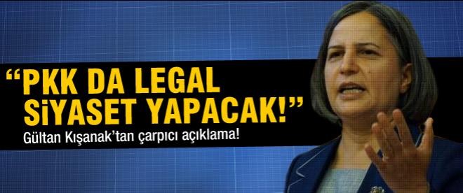 Kışanak: "PKK da legal siyaset yapacak!"