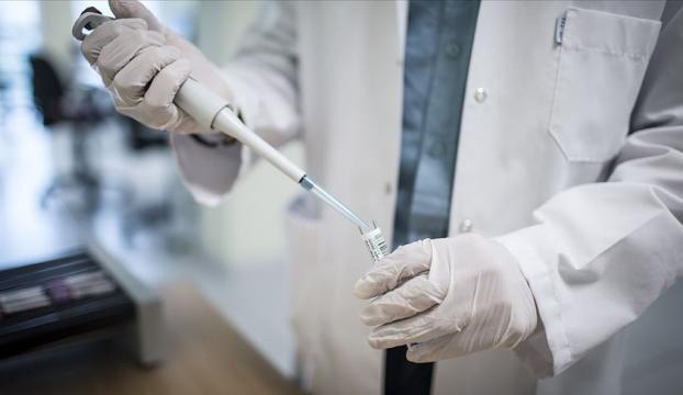 Uludağ Üniversitesinde Kovid-19 aşı denemelerine başlandı