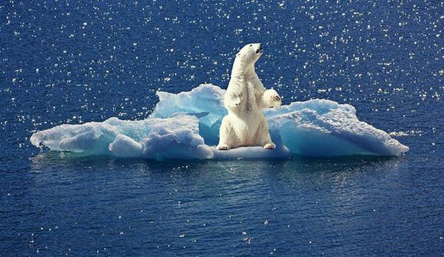 Kuzey Kutbu tarihinin en sıcak 5 yılını geçirdi