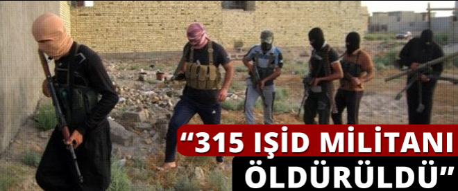 '315 IŞİD militanı öldürüldü'