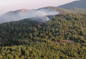 Malatya'da ormanlık alanlarda mola vermek ve piknik yapmak yasaklandı