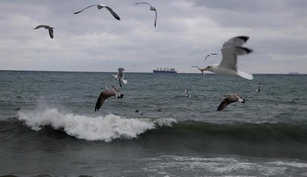 İstanbulda deniz ulaşımına lodos engeli