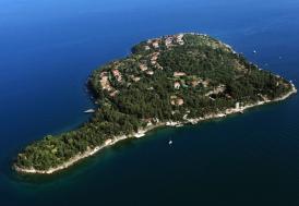 İstanbul'daki Kaşık ve Sedef Adası "doğal sit-nitelikli doğal koruma alanı" olarak belirlendi