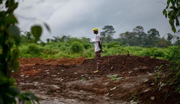 Sierra Leonede sel ve toprak kaymaları: En az 200 ölü
