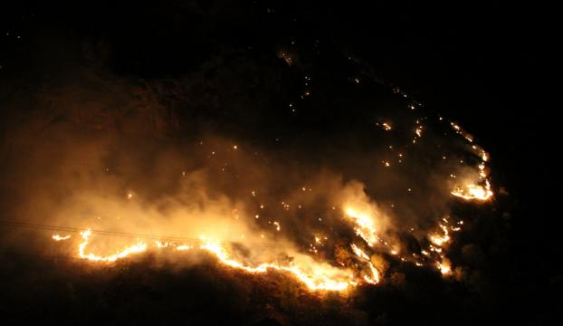 Şemdinlide çıkan orman yangınına müdahale ediliyor