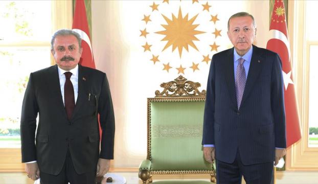 Cumhurbaşkanı Erdoğan, TBMM Başkanı Şentopu kabul etti
