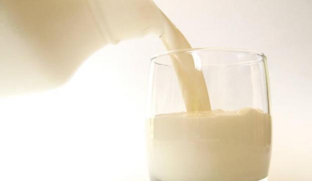 Süt nedir? Sütün faydaları nelerdir? Sütün zararları nelerdir?