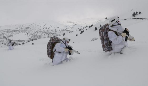 Mehmetçik Tunceli dağlarında 1,5 metreyi bulan karda teröristlerin izini sürüyor