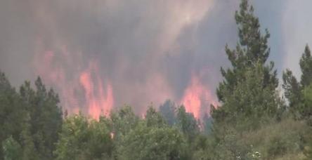 testGöksun'da 25 hektarlık orman yandı